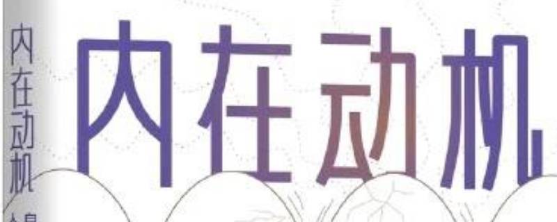 内在动机读后感