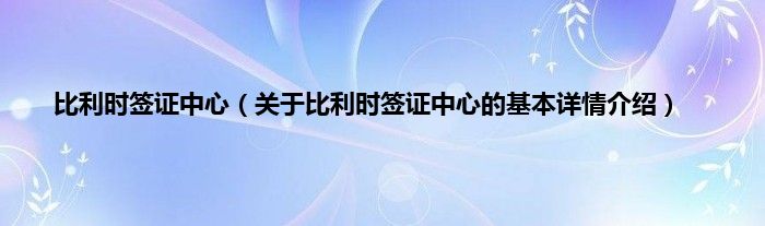 比利时签证中心（关于比利时签证中心的基本详情介绍）