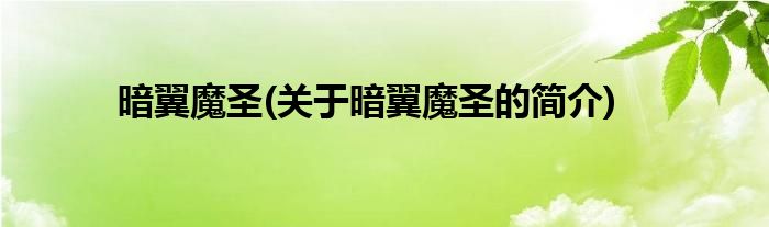 暗翼魔圣(关于暗翼魔圣的简介)