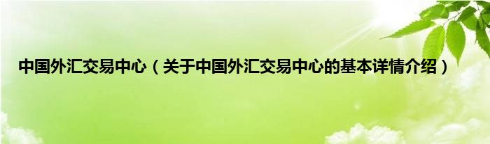 中国外汇交易中心（关于中国外汇交易中心的基本详情介绍）
