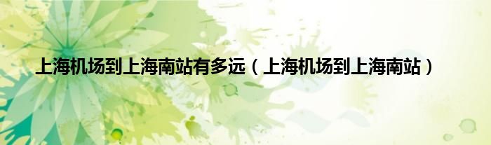上海机场到上海南站有多远（上海机场到上海南站）