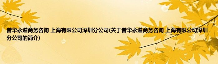 普华永道商务咨询 上海有限公司深圳分公司(关于普华永道商务咨询 上海有限公司深圳分公司的简介)