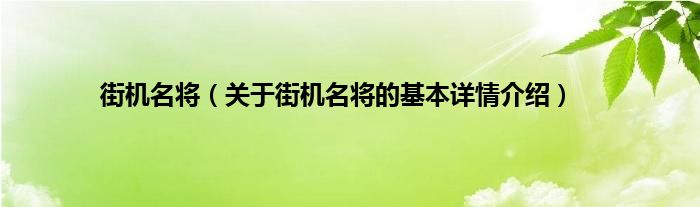 街机名将（关于街机名将的基本详情介绍）