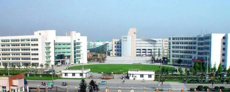 专科录取看本科分吗