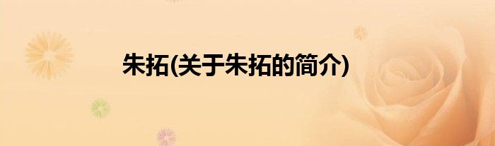 朱拓(关于朱拓的简介)