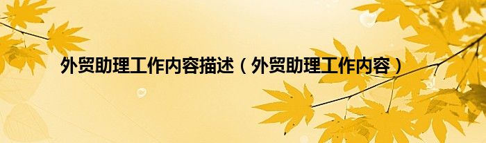 外贸助理工作内容描述（外贸助理工作内容）