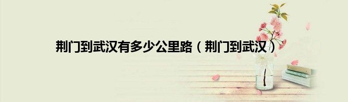 荆门到武汉有多少公里路（荆门到武汉）