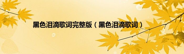 黑色泪滴歌词完整版（黑色泪滴歌词）