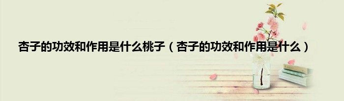 杏子的功效和作用是什么桃子（杏子的功效和作用是什么）