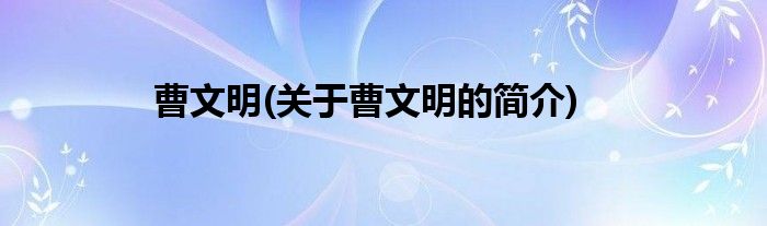 曹文明(关于曹文明的简介)