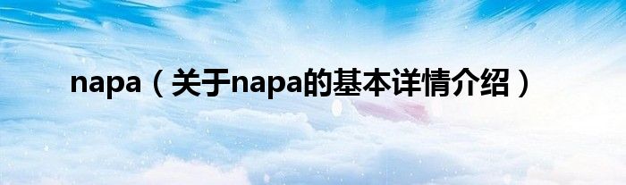 napa（关于napa的基本详情介绍）
