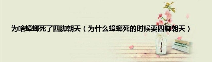 为啥蟑螂死了四脚朝天（为什么蟑螂死的时候要四脚朝天）