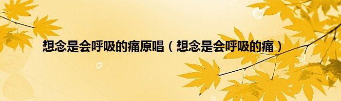 想念是会呼吸的痛原唱(想念是会呼吸的痛)