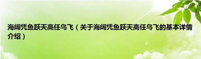 海阔凭鱼跃天高任鸟飞（关于海阔凭鱼跃天高任鸟飞的基本详情介绍）