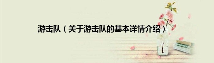 游击队（关于游击队的基本详情介绍）