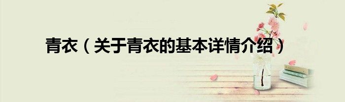 青衣（关于青衣的基本详情介绍）