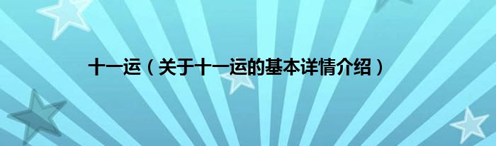十一运（关于十一运的基本详情介绍）