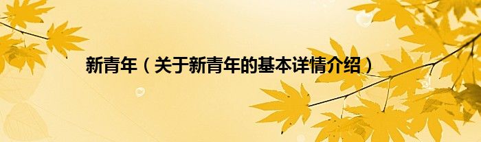 新青年(关于新青年的基本详情介绍)