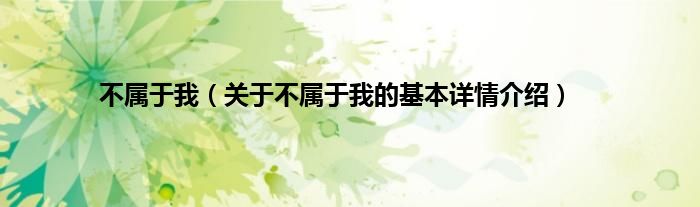 不属于我（关于不属于我的基本详情介绍）
