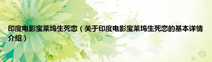 印度电影宝莱坞生死恋（关于印度电影宝莱坞生死恋的基本详情介绍）