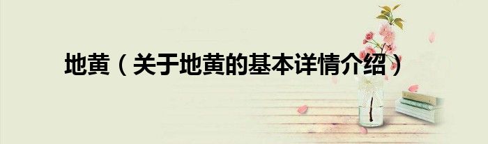 地黄（关于地黄的基本详情介绍）