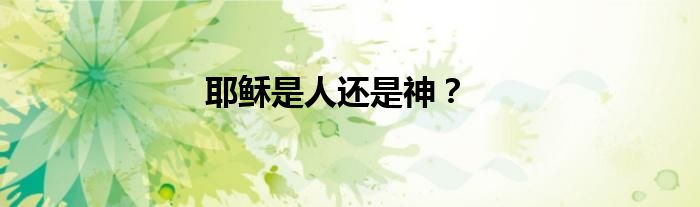 耶稣是人还是神？