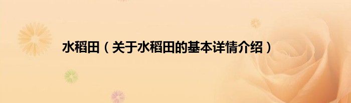 水稻田（关于水稻田的基本详情介绍）