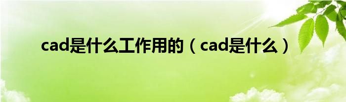 cad是什么工作用的（cad是什么）