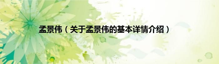 孟景伟（关于孟景伟的基本详情介绍）
