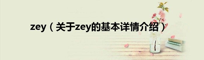 zey（关于zey的基本详情介绍）
