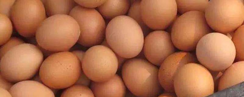 夏天鸡蛋不放冰箱可以存几天
