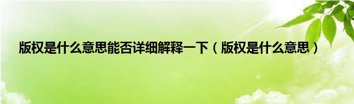 版权是什么意思能否详细解释一下（版权是什么意思）