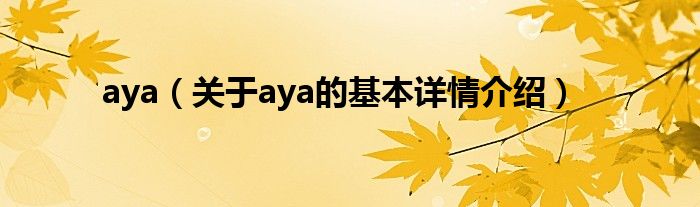 aya（关于aya的基本详情介绍）