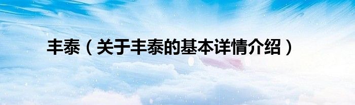 丰泰（关于丰泰的基本详情介绍）