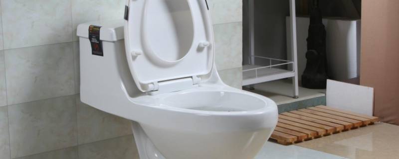 为什么马桶夏天没有虫子