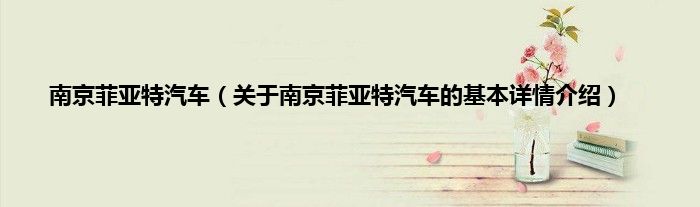 南京菲亚特汽车（关于南京菲亚特汽车的基本详情介绍）