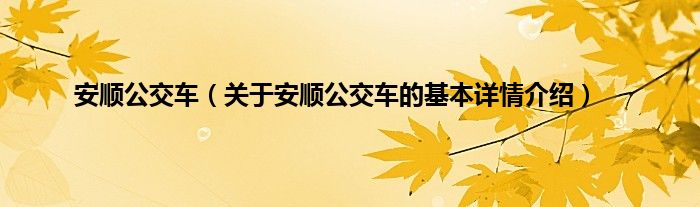 安顺公交车（关于安顺公交车的基本详情介绍）