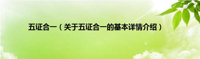 五证合一(关于五证合一的基本详情介绍)