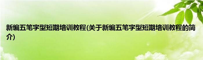 新编五笔字型短期培训教程(关于新编五笔字型短期培训教程的简介)