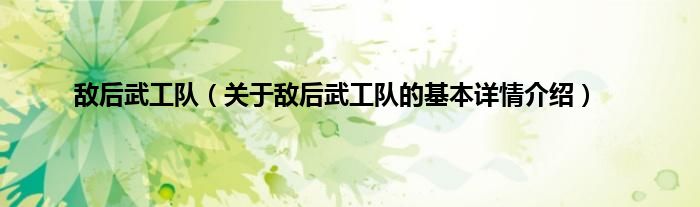 敌后武工队（关于敌后武工队的基本详情介绍）