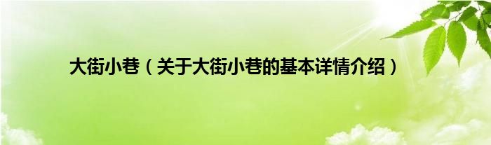 大街小巷（关于大街小巷的基本详情介绍）