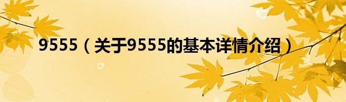 9555（关于9555的基本详情介绍）