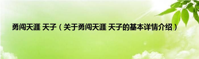 勇闯天涯 天子（关于勇闯天涯 天子的基本详情介绍）