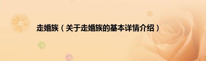 走婚族（关于走婚族的基本详情介绍）