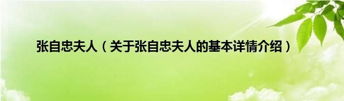 张自忠夫人（关于张自忠夫人的基本详情介绍）