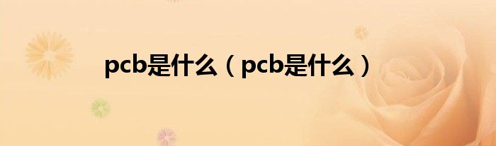pcb是什么（pcb是什么）
