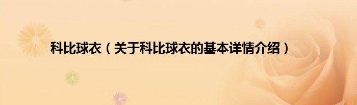 科比球衣（关于科比球衣的基本详情介绍）