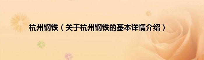 杭州钢铁（关于杭州钢铁的基本详情介绍）