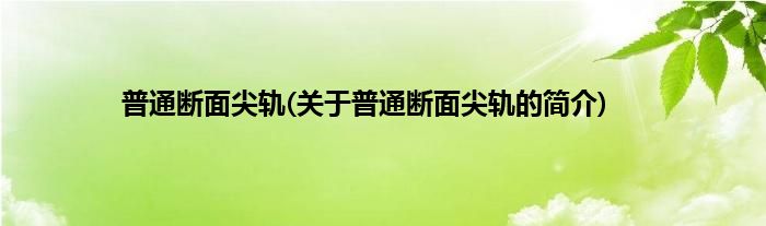普通断面尖轨(关于普通断面尖轨的简介)