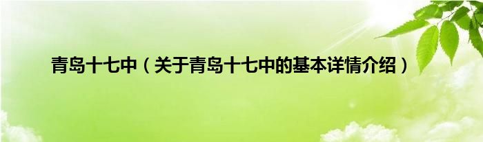 青岛十七中（关于青岛十七中的基本详情介绍）
